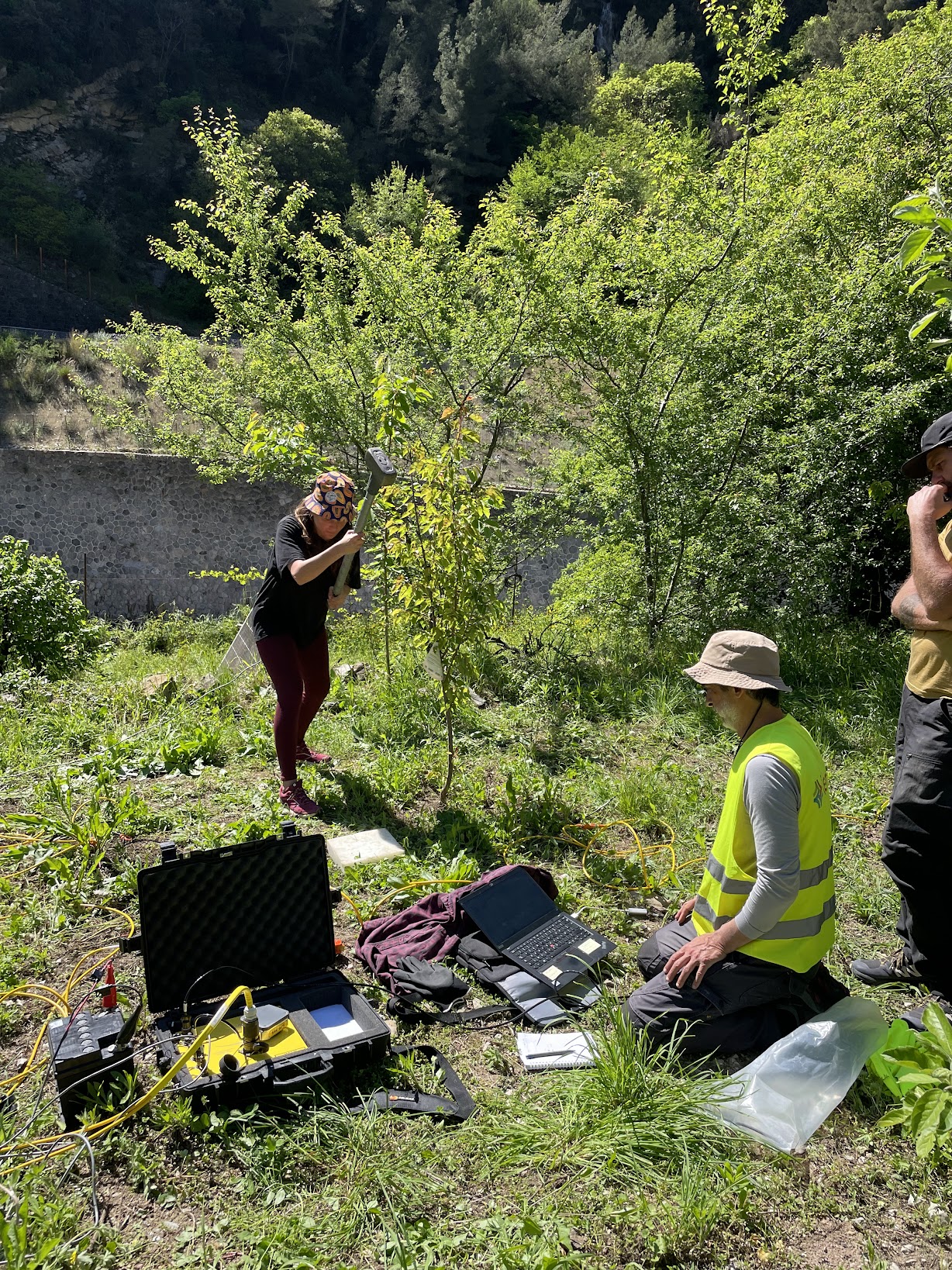 Roya Valley Seismic 2